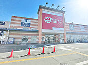 ロピア町田多摩境MrMax店
