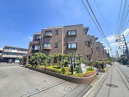 たっぷりの陽光に包まれる明るい住まい