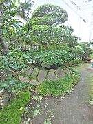 ガーデニングや家庭菜園を楽しめるお庭付きです