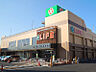 周辺：ライフ上鶴間店