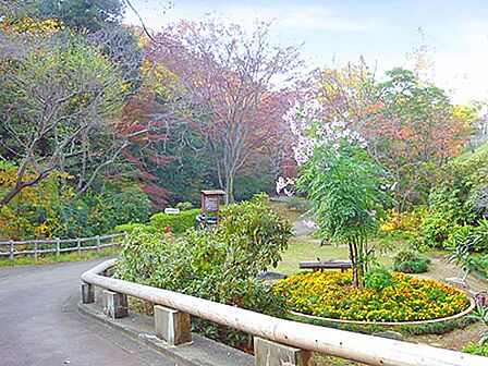 芹ヶ谷公園