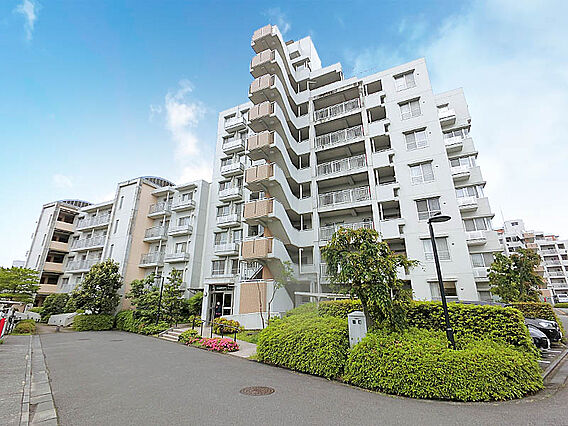 販売現地