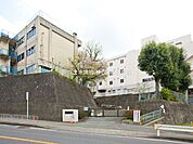 【海老名市立海老名小学校】　県道40号沿いでちょっと小高いところに海老名中学校と並んであります。運動場も広く、駅が近いわりには静かにお勉強のできる環境にあります。