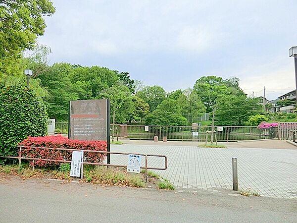周辺を拡大表示