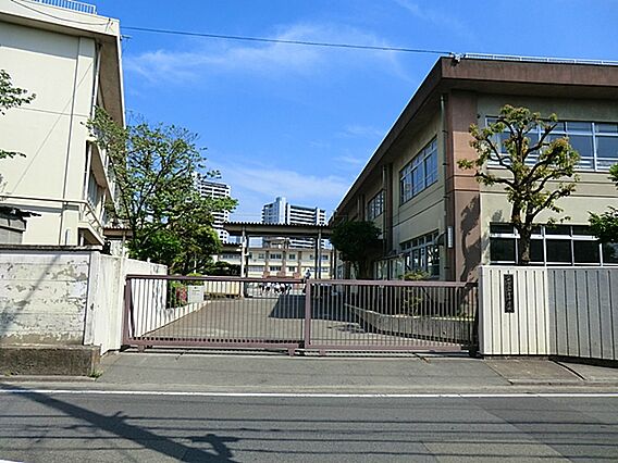 川崎市立御幸中...