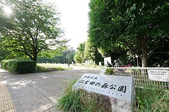 江古田の森公園...