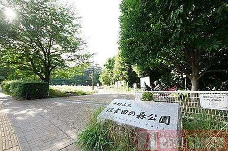 江古田の森公園 徒歩13分 1040m
