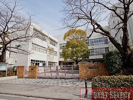 板橋区立志村第五中学校 徒歩20分 1550m