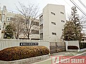 板橋区立赤塚小学校　徒歩4分 320m