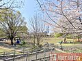 いなりプレーパ...