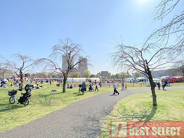 周辺を拡大表示