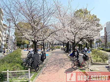 豊島区立大塚台公園 徒歩14分 1100m