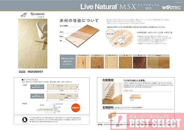 リビング/ダイニング