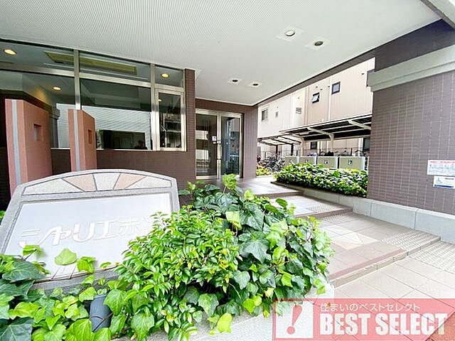 8 / 11