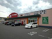 ドラッグストア 「クスリのアオキ大塚店まで1300m」