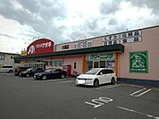 ドラッグストア 「クスリのアオキ大塚店まで1228m」