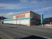 ホームセンター「綿半ホームエイド檀田店まで1608m」