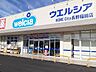 周辺：ドラッグストア 「ウエルシア長野稲田店まで800m」