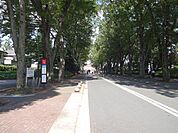 私立成蹊大学（1371m）