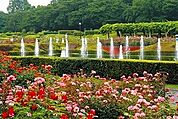 都立神代植物公園正門（1493m）