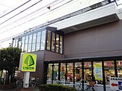 いなげや 小金井東町店（328m）
