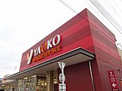 ヤオコー 小平回田店（844m）
