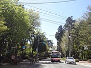 井の頭恩賜公園（815m）