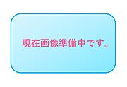 画像準備中です。