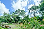 井の頭自然文化園