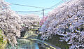 大岡川プロムナ...