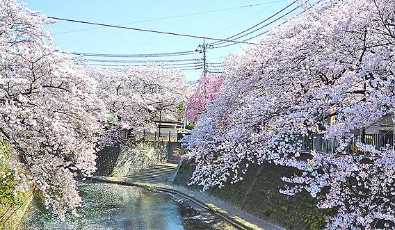 大岡川プロムナ...