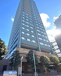 地下2階付地上26階建/総戸数217戸大規模タワーレジデンス