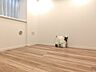 室内：白と木目を基調とした暖かみのある明るいお部屋です。どんな家具とも合わせられます。 