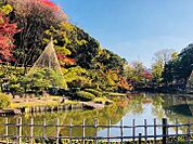 肥後細川庭園　四季折々の景色を楽しめる庭園や神田川が至近にあり自然が身近な住環境です。
