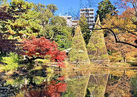 新宿区立甘泉園公園
