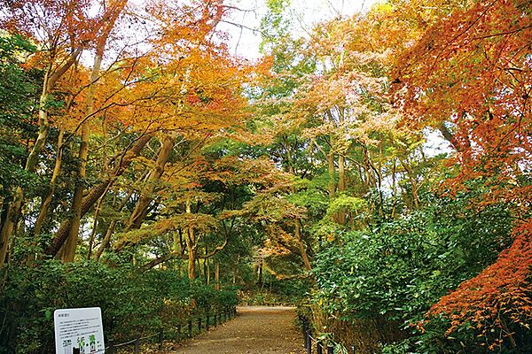 その他を拡大表示
