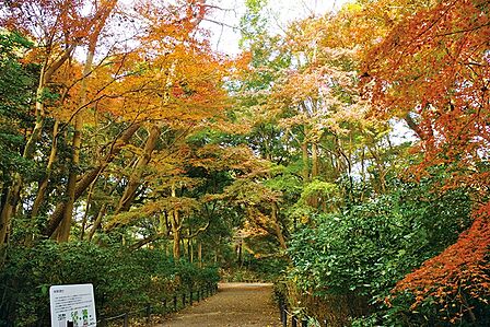 国立科学博物館付属 自然教育園