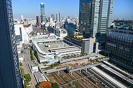 ターミナル駅「新宿」駅 徒歩14分