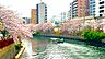 その他：大岡川プロムナード