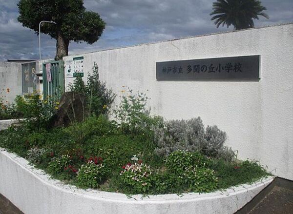 画像2:神戸市立多聞の丘小学校