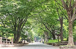 氷川緑地（637m）