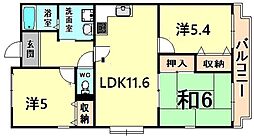 Ｃｏｌｌｅｃｔｉｏｎ伊丹