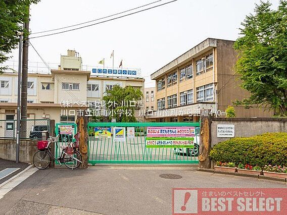 川口市立原町小...
