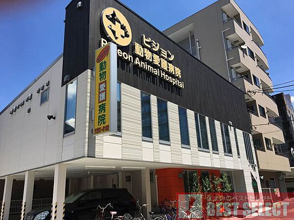 周辺を拡大表示