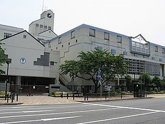 画像22:神戸市立兵庫大開小学校（518m）