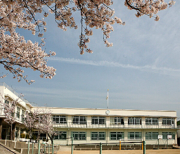 画像19:須磨浦小学校（567m）
