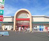 フレンドマート　膳所店まで480m