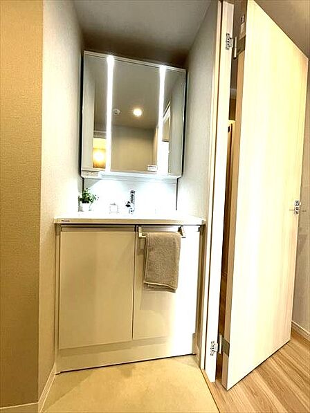 三面鏡にハンドシャワー付き、 使いやすい洗面台。 