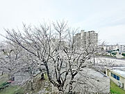 閑静な住宅地で叶える、穏やかな新生活が待ってます。 