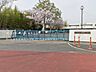 周辺：さいたま市立城南小学校（1300m）